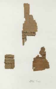 Undocumented Demotic fragments from Gebelein, CP 170, layer 1. Scan by Museo Egizio.